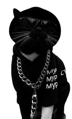 Кот улицы